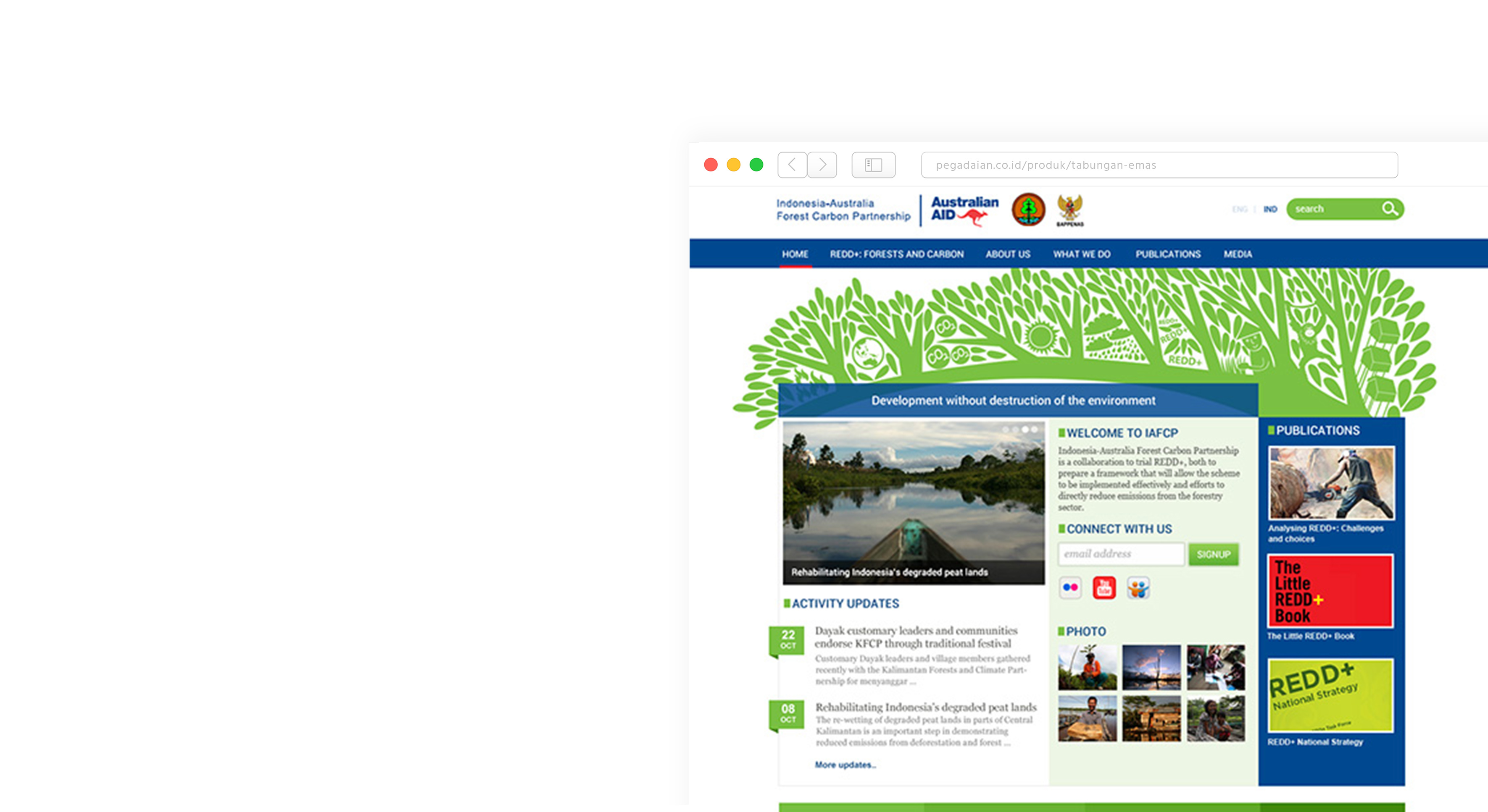 Komunigrafik project showcase IAFCP - The Indonesia-Australia Forest Carbon Partnership
